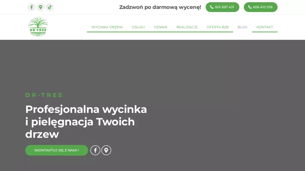 Wycinka, pielęgnacja drzew Kraków | Dr-tree - zrzut ekranu